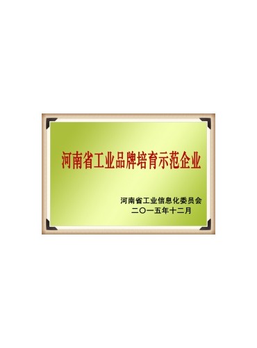 荣誉证书-恩平市九九起重设备店-河南省工业品牌培育示范企业