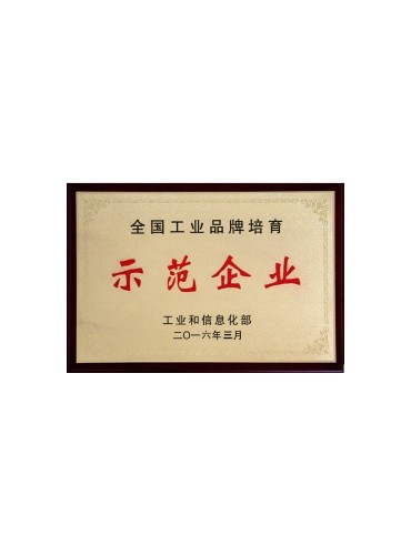 荣誉证书-恩平市九九起重设备店-全国工业品牌培育示范企业